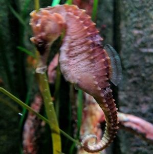 Meet your Posher, Vinu james